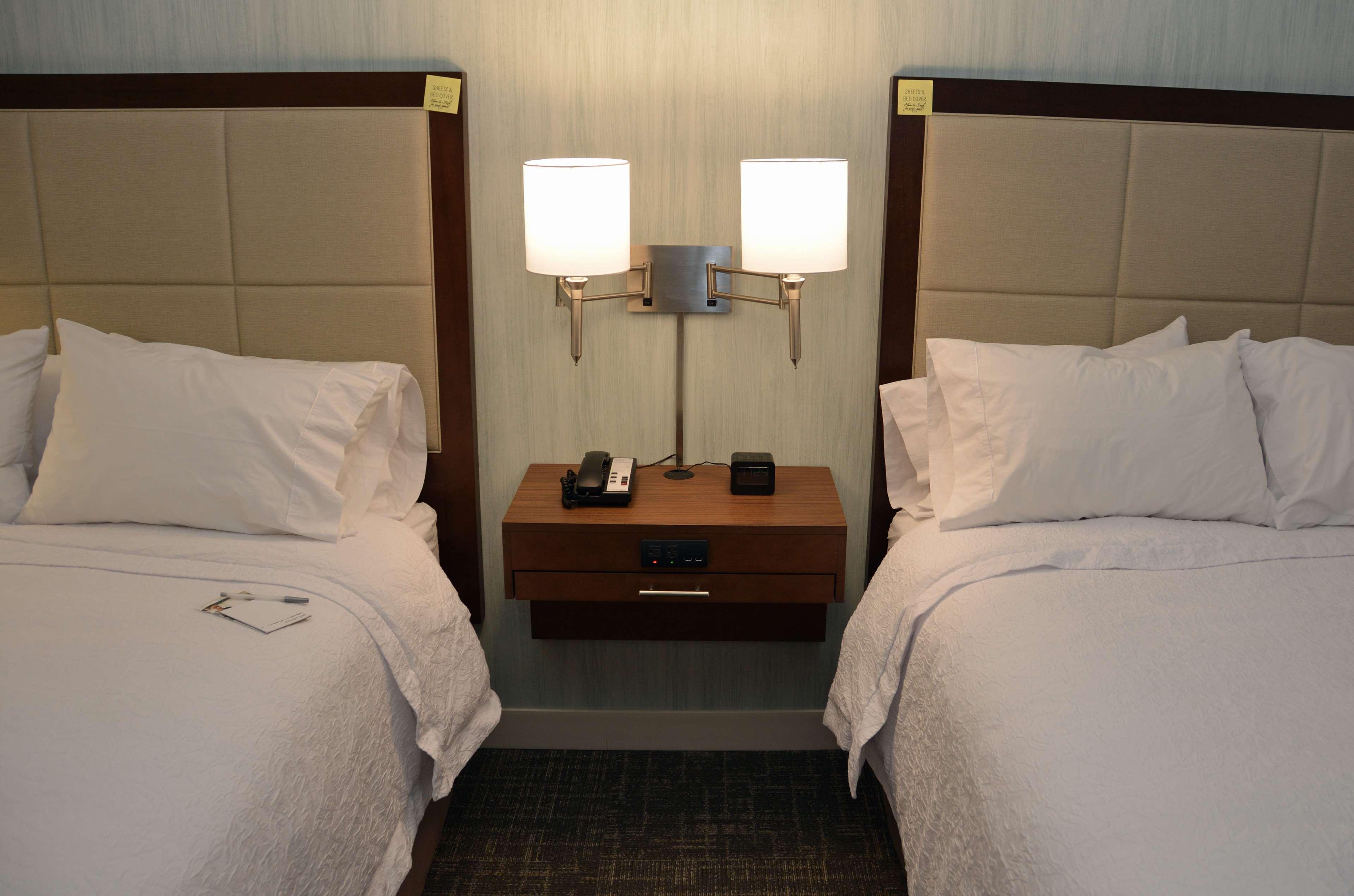 Hampton Albany-western Ave/university Area, Ny Hotel 3*