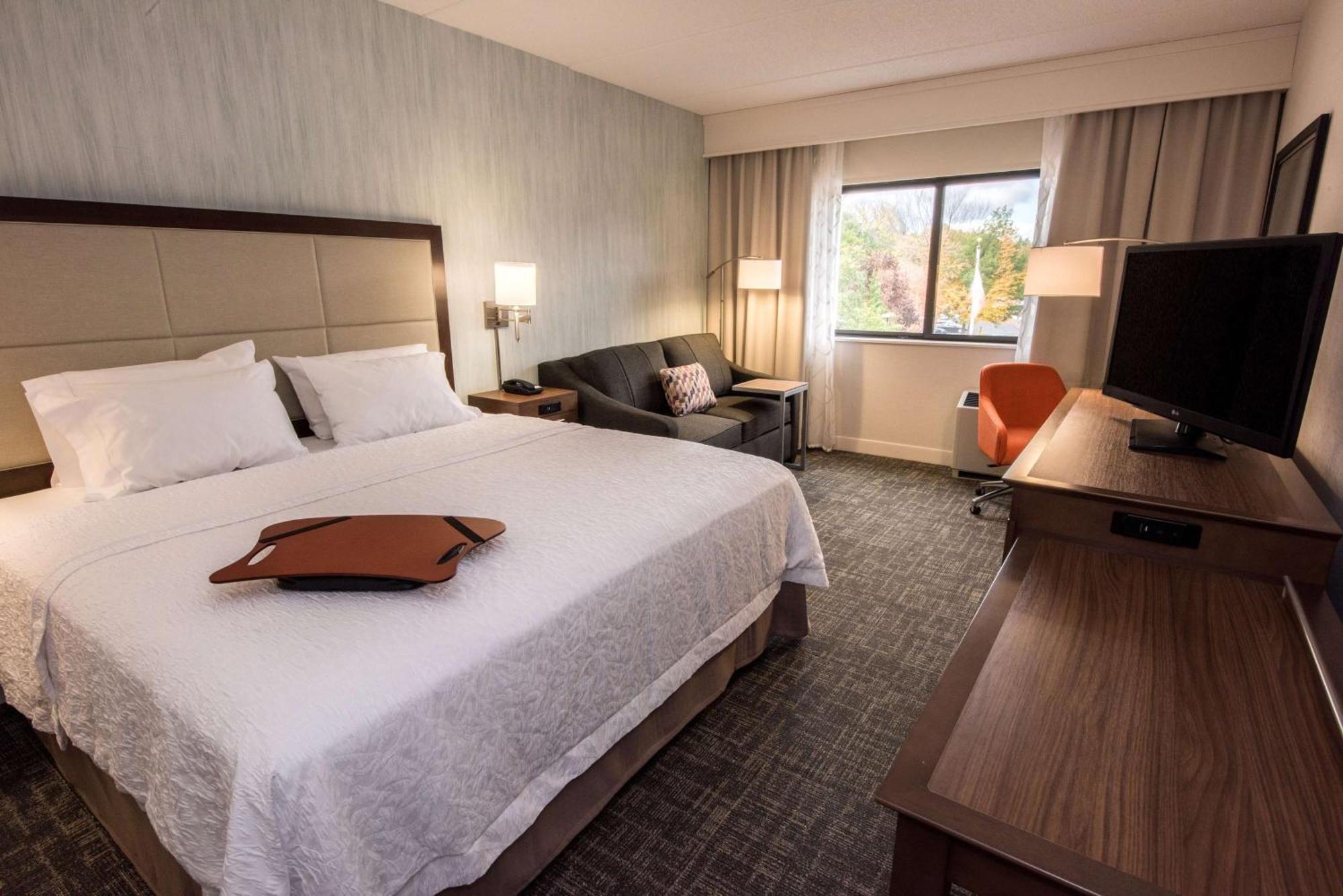Hampton Albany-western Ave/university Area, Ny Hotel