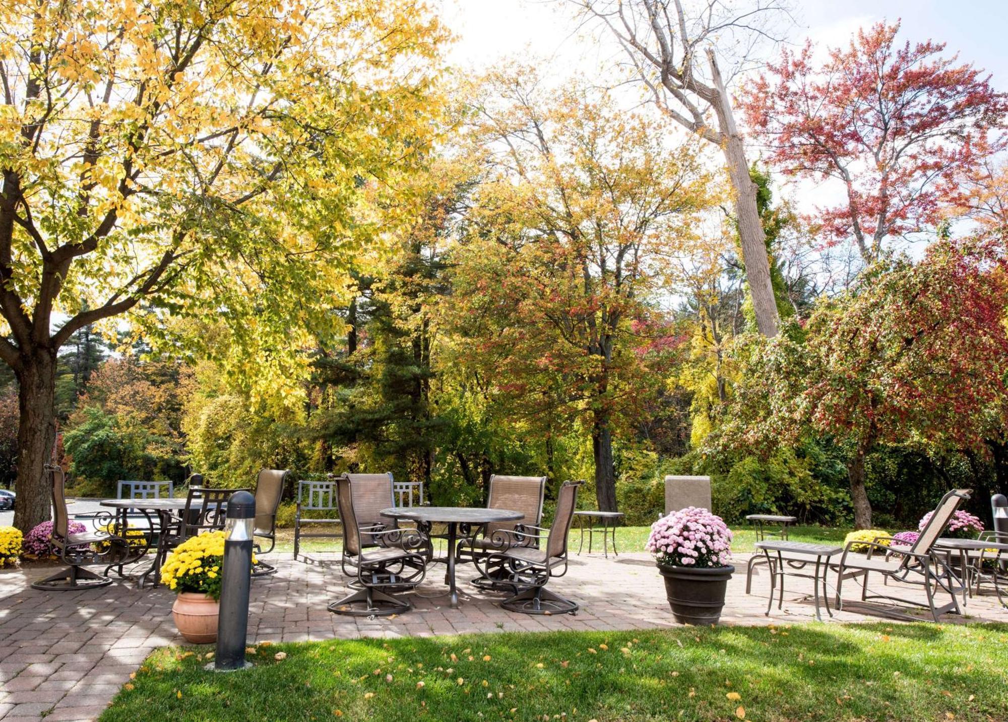 Hampton Albany-western Ave/university Area, Ny Hotel 3*